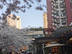 -玛格萝妮比萨屋(四平店)