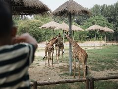 -北京野生动物园