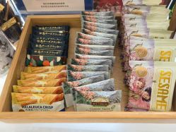 -联合丽格·张菡丽格医疗美容