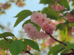 -西北湖绿化广场