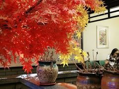 -小胡同炒鸡(胜利路店)