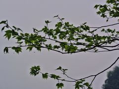 -崀山风景名胜区