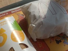 -麦当劳(正定瑞天店)