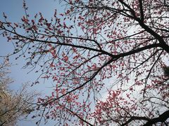 -吉林大学(南岭校区)