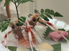 -京彩臻品火锅