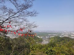 -灵顺寺
