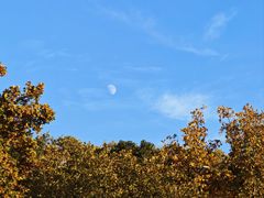 -河南省黄河迎宾馆