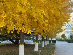 -锦江富园大酒店-游泳馆