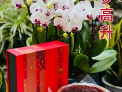 -利苑酒家(合景国际金融广场店)