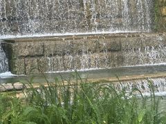 -成飞公园