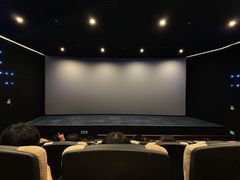-深影国际影城(学院南路店CGS中国巨幕店)