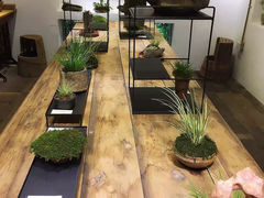-植觉