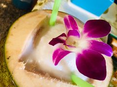 -Jungle Kitchen