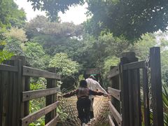 -青青世界