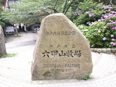 -神户市立六甲山牧场