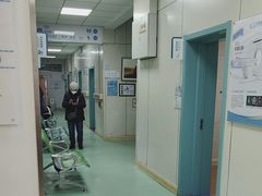 -北京观赏动物医院·24小时大型综合·猫专科·异宠专科