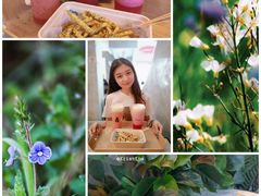 -SENTEA森茶(麦地丽日店)