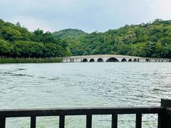 -李小龙乐园(顺德均安店)