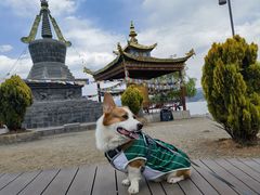 -泸沽肴(泸沽湖大洛水村农村信用社旁店)