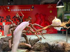 -正佳雨林生态植物园