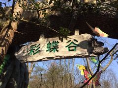 iphone_upload_pic-天目湖山水园