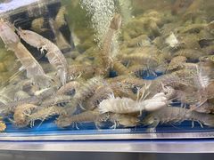 -盒马X会员店(上海森兰商都店)