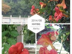 android_upload_pic-河南省黄河迎宾馆