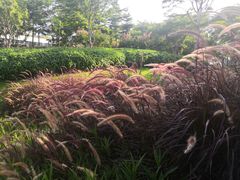 -深圳市人才园(深南大道店)