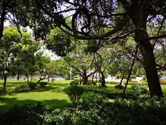 -大屏嶂森林公园