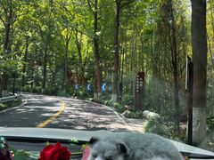 -国生茶庄·地道农家菜团建活动