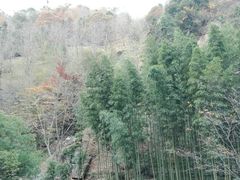 -太湖源风景区
