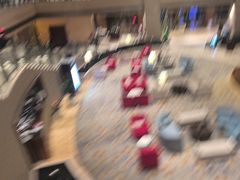 -合肥皇冠假日酒店·菲亚斯特自助餐厅(黄山路店)