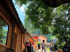 -杨家堂村