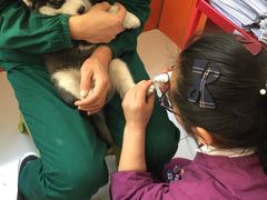 -惠康宠物医院(华能路店)