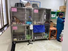 -东莞宠友24H宠物中心医院·转诊夜诊·异宠(新河北路院)