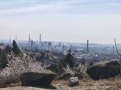 -白水寺森林公园
