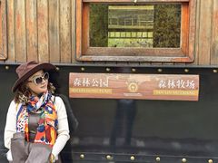 -莫尔道嘎国家森林公园