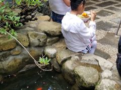 -寂照庵