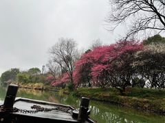 -西溪国家湿地公园