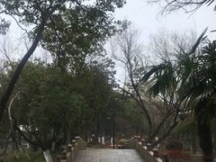 -瀛洲公园