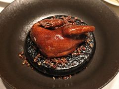 汉源贡椒脆皮乳鸽-许家菜.艺创菜(仁和新城店)