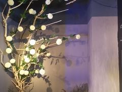 -sugarman espresso素饮糖人高新咖啡工厂