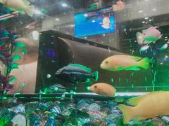 -新辉港式茶餐厅(北栅店)