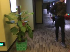 -大地影院(宁波恒茂商业广场店)