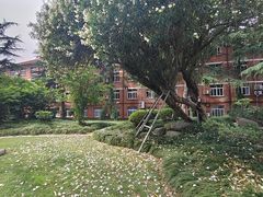 -上海外国语大学(虹口校区)