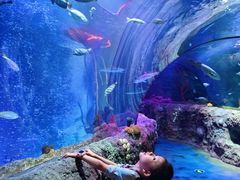 -沈阳海洋探索中心