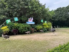 -广州长隆飞鸟乐园