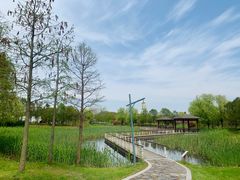 -同里国家湿地公园