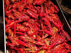 -视界美食自助餐厅·石家庄希尔顿酒店