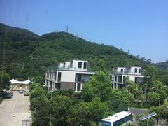-玫瑰小镇